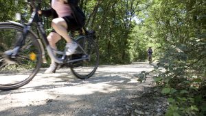 Nos vélos
