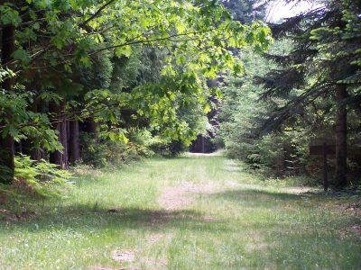 Arboretum de Cardeilhac