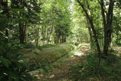 Arboretum de Cardeilhac