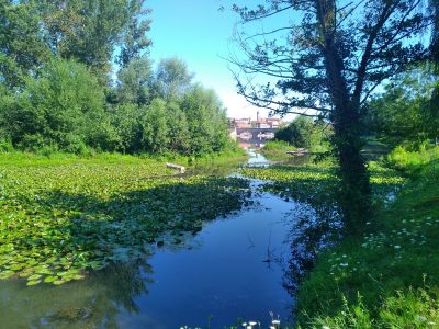 CAZERES SUR GARONNE