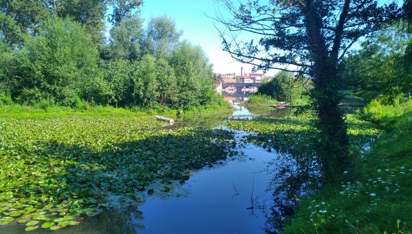 CAZERES SUR GARONNE