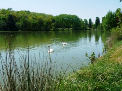 Lac de Boulogne-Sur-Gesse