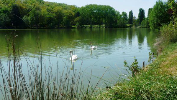 Lac de Boulogne-Sur-Gesse