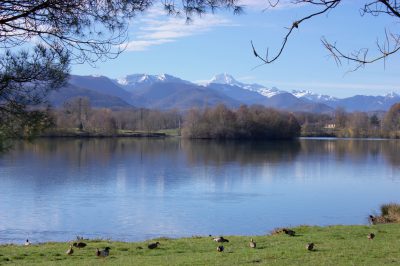 Lac de Montréjau