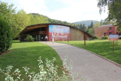 NESTPLORIA